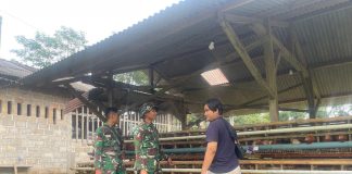 Di Lokasi Yang Menguntungkan, Peternakan Warga Terbantu Oleh Sumur Bor Dan Jalan TMMD