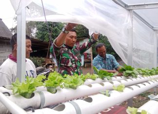 Anggota Satgas Pun Menimba Ilmu Cara Menanam Hidroponik Dari Warga