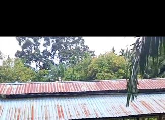 Dugaan Permasalahan BUMDes Desa Raja Besi Kian Menguat, Kematian Ayam Disebut Capai Ratusan hingga Dugaan Mark Up Anggaran