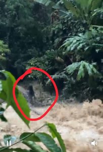 BREAKING NEWS: 4 Remaja Diduga Hanyut di Air Tik Kemaceak, Rekaman Video Amatir Beredar