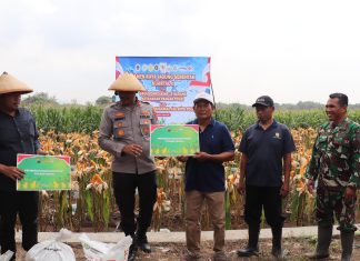 Kapolres Kendal Pimpin Panen Raya Jagung Serentak dan Launching SPPG Polri