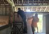 Papan Cor Terpasang, Satgas TMMD Perkuat Sudut Tembok RTLH Menuju Hunian Layak