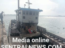 Bongkar Muat Kayu Bukti di Pelabuhan Beton Sekupang, Kapal KLM Berkat Selayar Angkut Puluhan Ribuan Batang Tanpa Tujuan Jelas