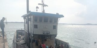 Bongkar Muat Kayu Bukti di Pelabuhan Beton Sekupang, Kapal KLM Berkat Selayar Angkut Puluhan Ribuan Batang Tanpa Tujuan Jelas