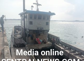 Bongkar Muat Kayu Bukti di Pelabuhan Beton Sekupang, Kapal KLM Berkat Selayar Angkut Puluhan Ribuan Batang Tanpa Tujuan Jelas
