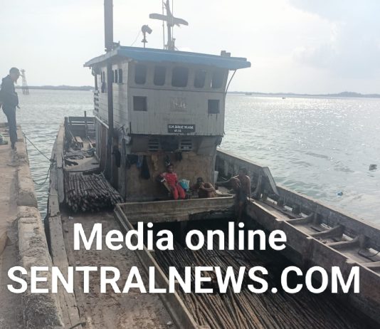 Bongkar Muat Kayu Bukti di Pelabuhan Beton Sekupang, Kapal KLM Berkat Selayar Angkut Puluhan Ribuan Batang Tanpa Tujuan Jelas
