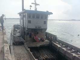Misteri Muatan Kayu di Sekupang Terjawab: Polri Sebut Proses Lelang Sudah Sesuai Aturan, SAL Segara Diterbitkan