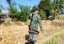 Setetes Air, Sejuta Harapan, Satgas TMMD Berjuang Wujudkan Rumah Layak bagi Ibu Wagini