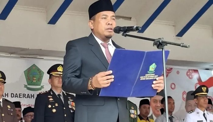 HUT RI ke-81, Carles Ronsen Ajak Jaga Persatuan