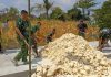 Menyulam Asa di Ujung Beton Kesongo: Ketika Peluh Satgas TMMD 129 Bojonegoro dan Warga Menyatu Tanpa Kenal Hari Libur