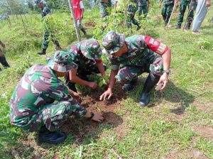 Tanam Pohon di Tengah TMMD Serma Susilo Tinggalkan Warisan Hijau untuk Desa
