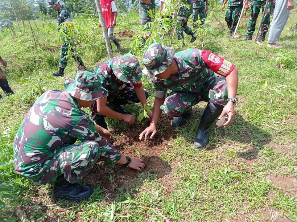 Tanam Pohon di Tengah TMMD Serma Susilo Tinggalkan Warisan Hijau untuk Desa