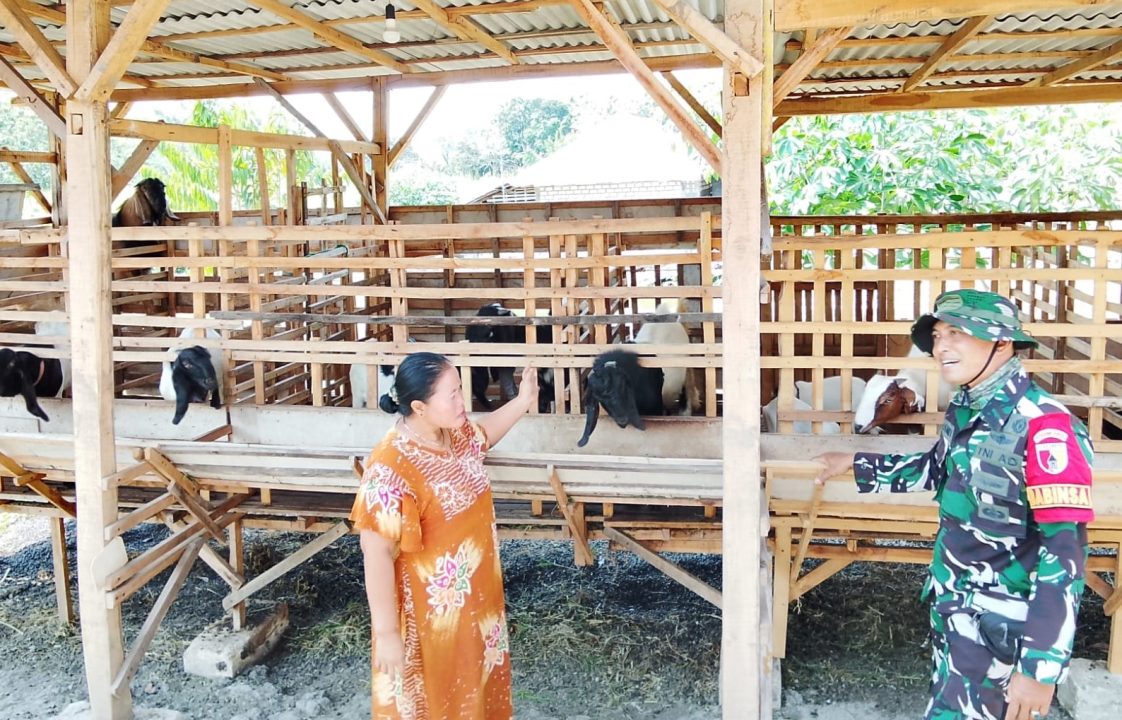 TMMD 129 Bojonegoro: Babinsa Kesongo ‘Sentuh Hati’ Peternak Kambing