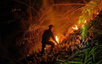 Si Jago Merah Lahap Lahan Jati, Anggota Koramil 715-04/Weleri Bantu Padamkan di Desa Sambongsari