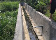 Pemkot Bengkulu Bangun Drainase 131 Meter di Kelurahan Perumdam, Atasi Ancaman Banjir