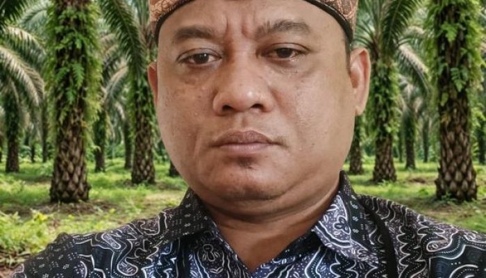 Waka APKASINDO Mukomuko Minta Penggarap HPT Dilegalkan, Lahan Pejabat Ditertibkan